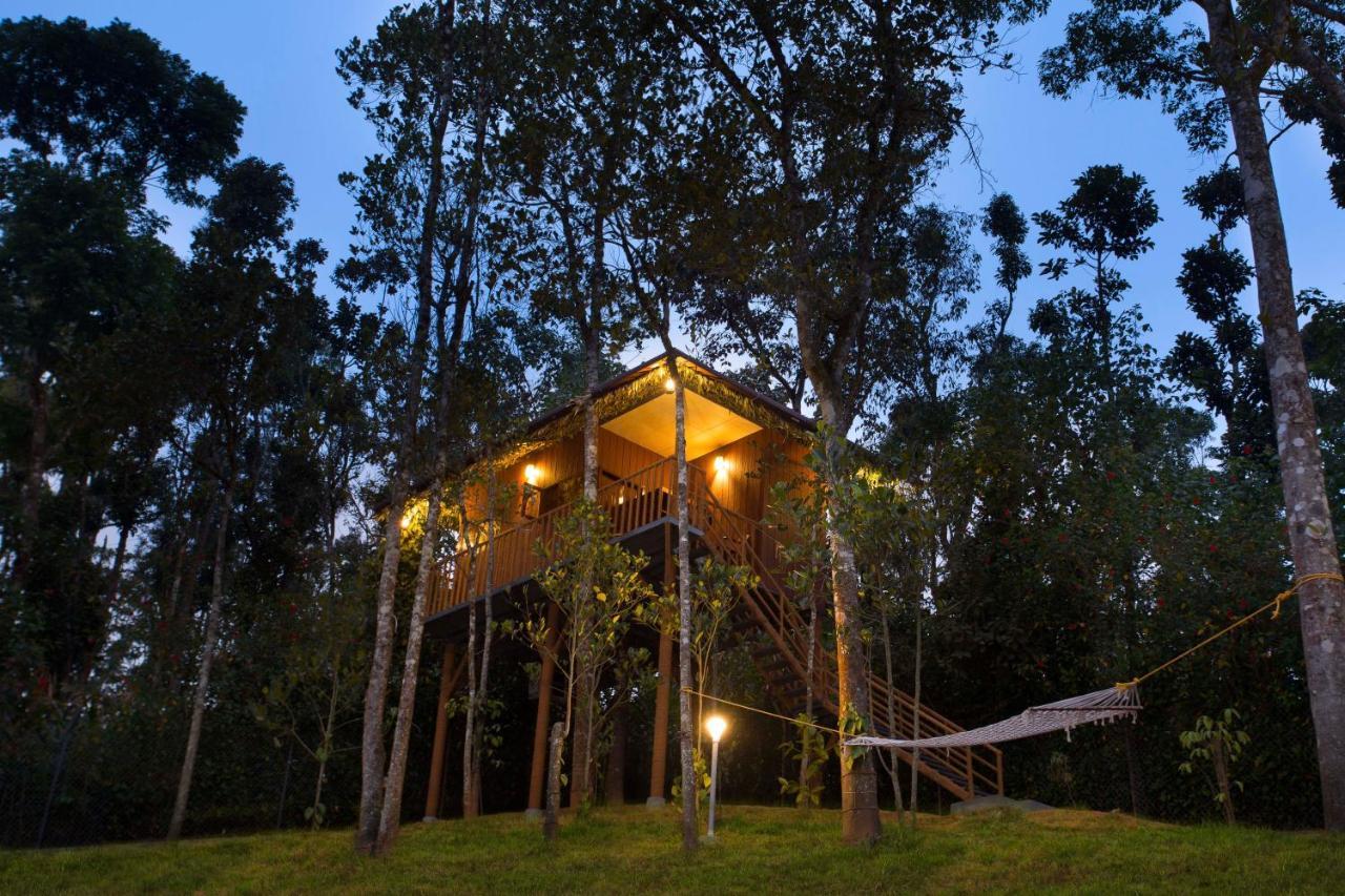 Spices Lap, 4*
